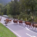 Casa de hóspedes Bergbach Ramsau bei Berchtesgaden