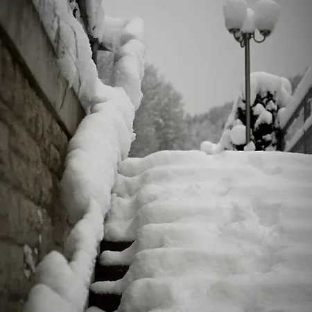 Guest house Bergbach 3*