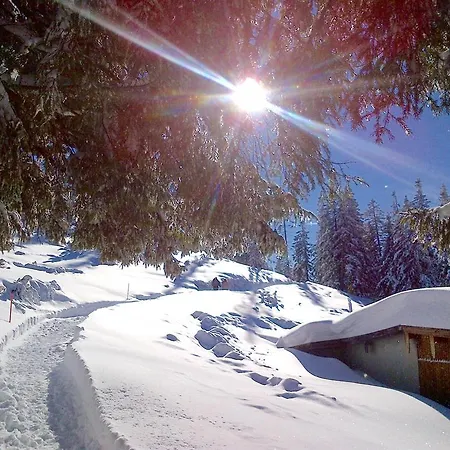 Bergbach Guest house