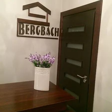 伯格巴赫旅馆 招待所