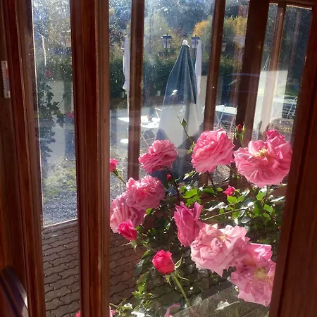 伯格巴赫旅馆 招待所 3*