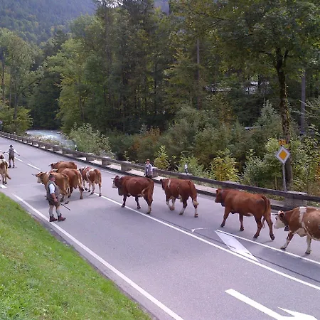 Konukevi Bergbach Ramsau bei Berchtesgaden