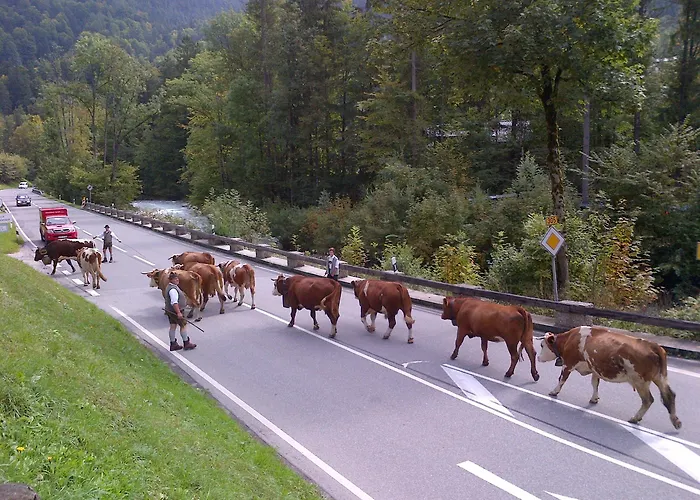 Konukevi Bergbach Ramsau bei Berchtesgaden